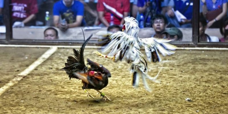 79sodo ﻿đăng nhập lô đề uy tín