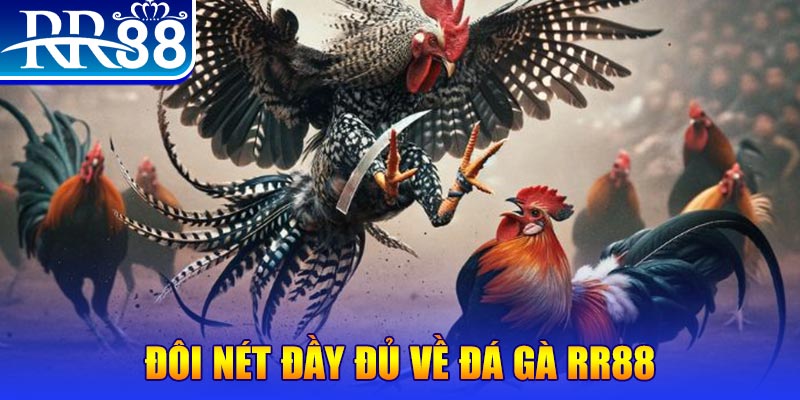 79sodo gà chọi hoà phong