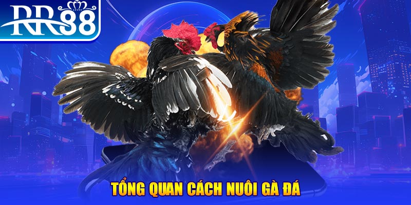 79sodo xổ số thứ ba