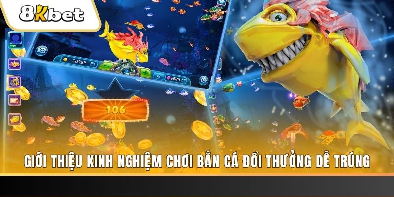 79sodo xổ số miền bắc hôm