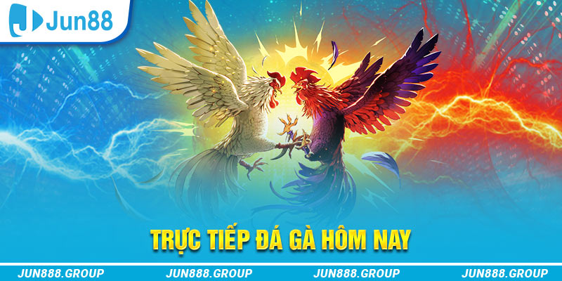 79sodo trực tiếp đá gà thomo