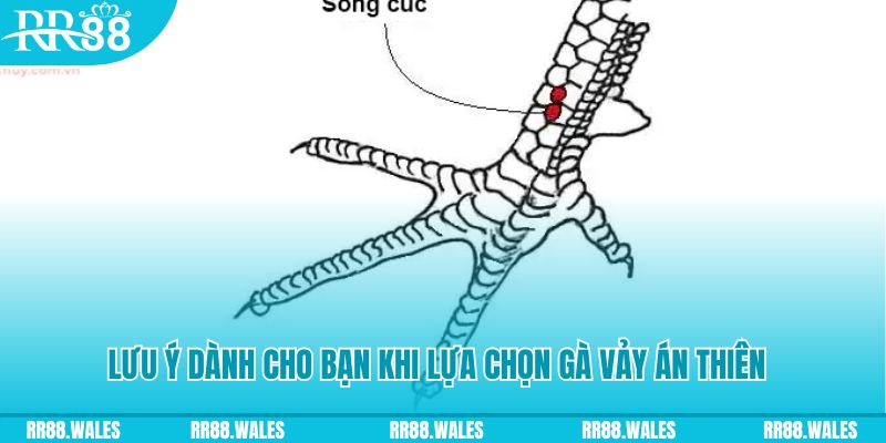 79sodo xổ số khánh hòa