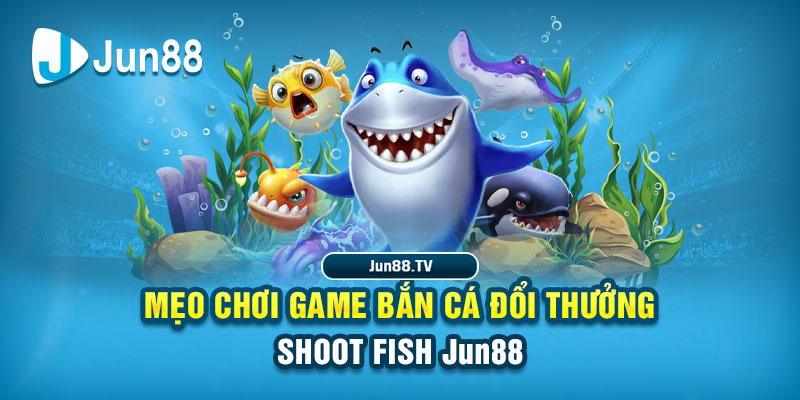 79sodo tải game đánh bài online về máy tính