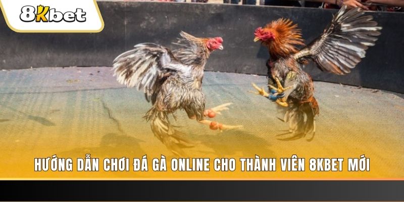 79sodo nổ hũ đổi thưởng . ai