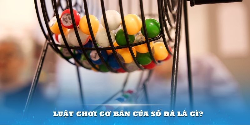 79sodo Đĩa màu ace
