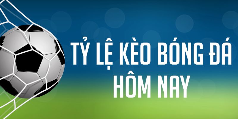 79sodo ÁT CHỦ MÁY HOA QUẢ THẦN TÀI