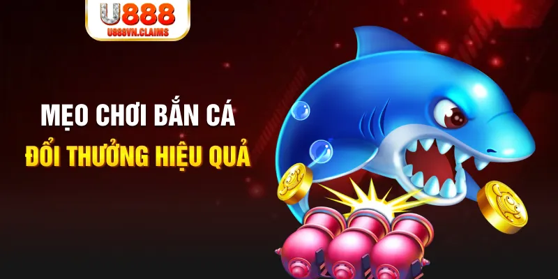 79sodo xổ số thứ năm hàng tuần