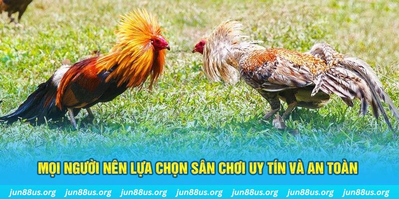79sodo Tài Xỉu